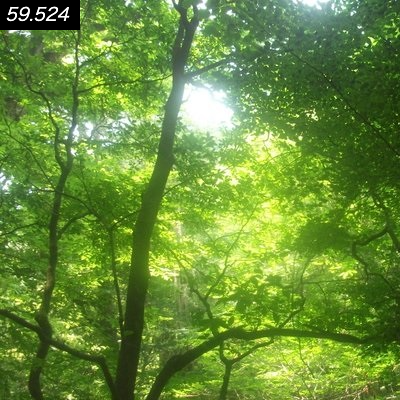 p5js webgl filterTest (forked)