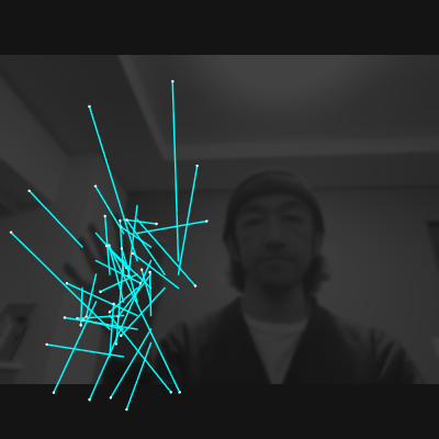 1-3 Optical Flow