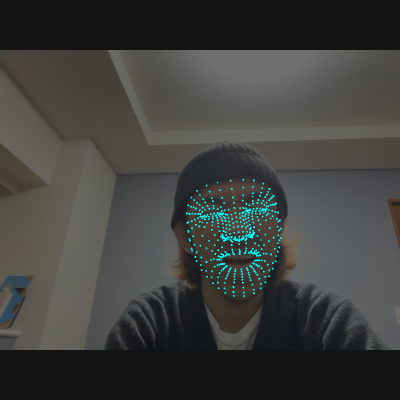 2-1 Face Mesh